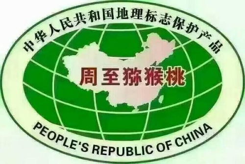 乳酸菌肥料技術賦能，陜西獼猴桃品質躍升達出口標準