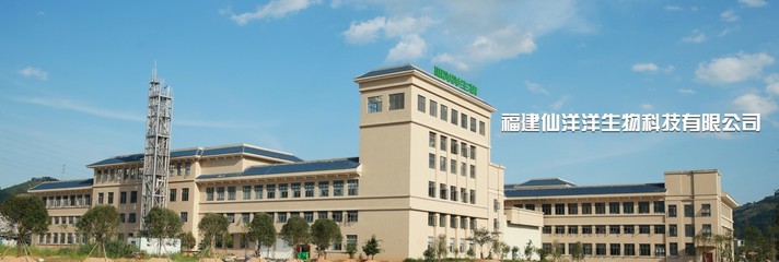 福建仙洋洋生物科技 深耕生物科技研發，引領健康產業未來